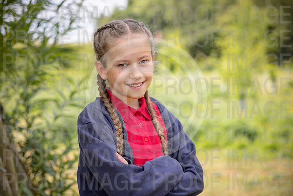 BRID_0917