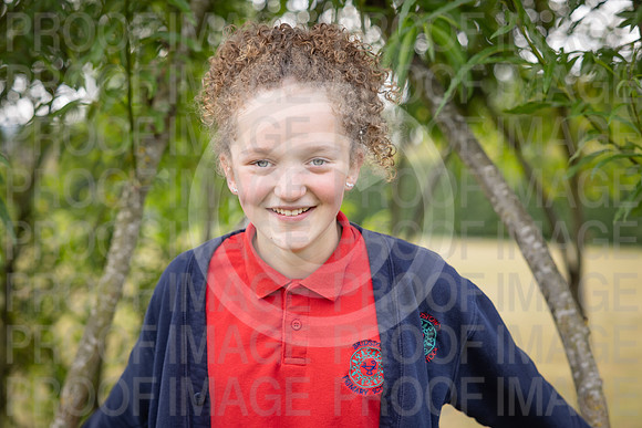 BRID_0806
