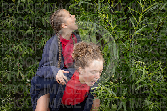 BRID_0640