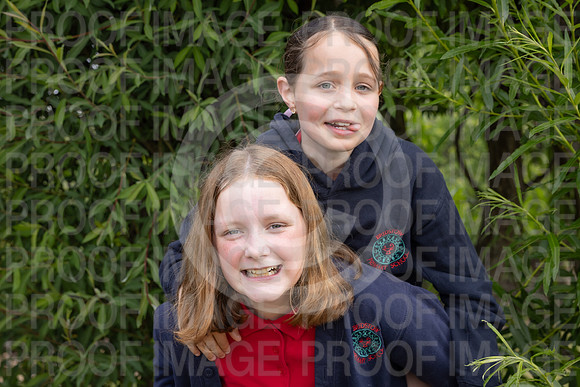 BRID_0608