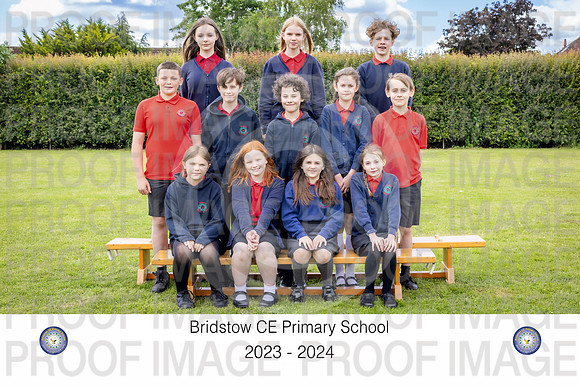 Brid24Y6-01