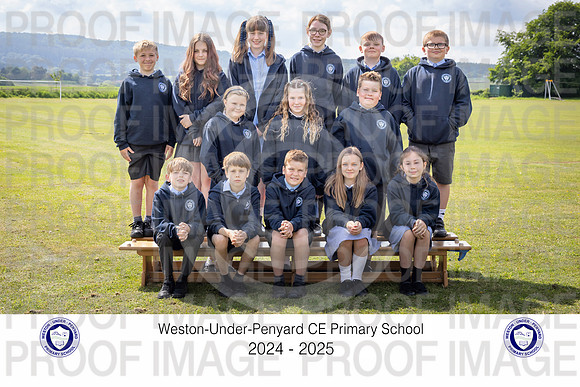 Y6Sor-3