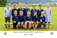 Weston26 Chestnut-03