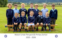 Weston26 Chestnut-01