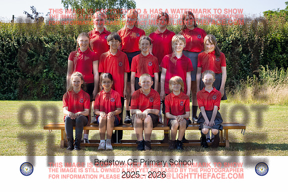26BADGERAll-01