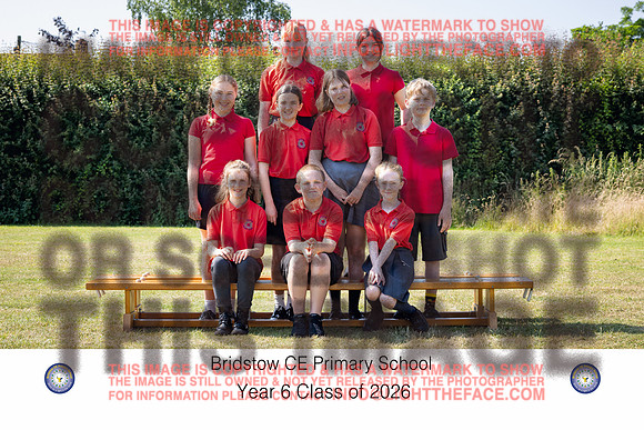 26BADGERYR6-01