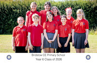 26BADGERYR6-06
