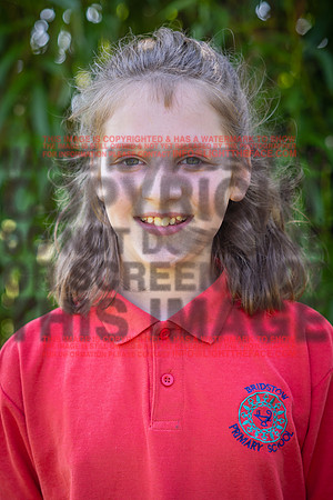 BRID1519