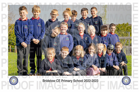 Bridstow_Otter 06