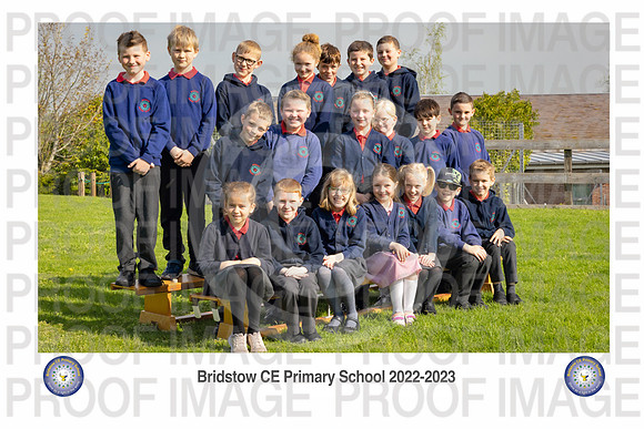 Bridstow_Otter 05