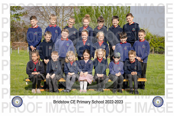 Bridstow_Otter 01