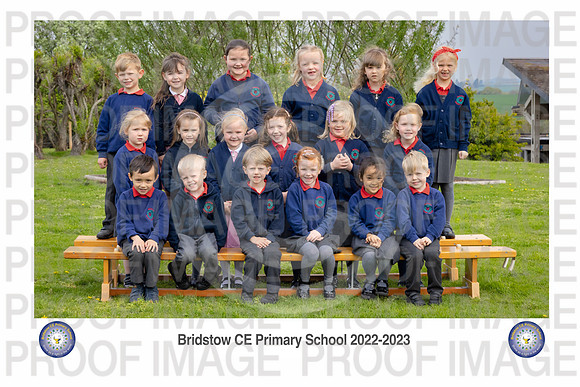 Bridstow_Hedgehog 02