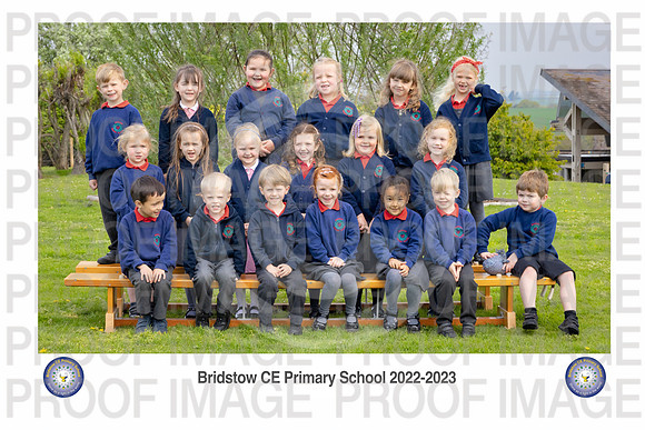 Bridstow_Hedgehog 03