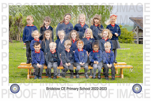 Bridstow_Hedgehog 04