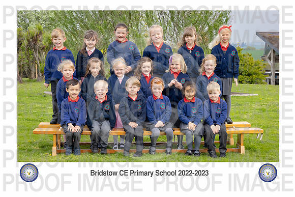 Bridstow_Hedgehog 01