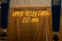 GOLD0016