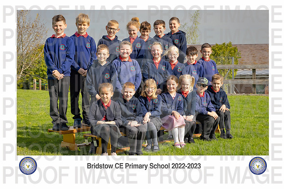 Bridstow_Otter 04