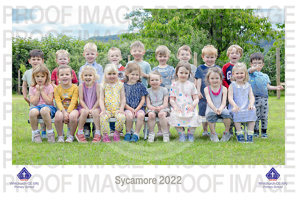 WhitSycamore-05