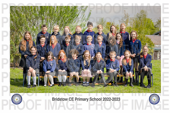 Bridstow_Badger 03