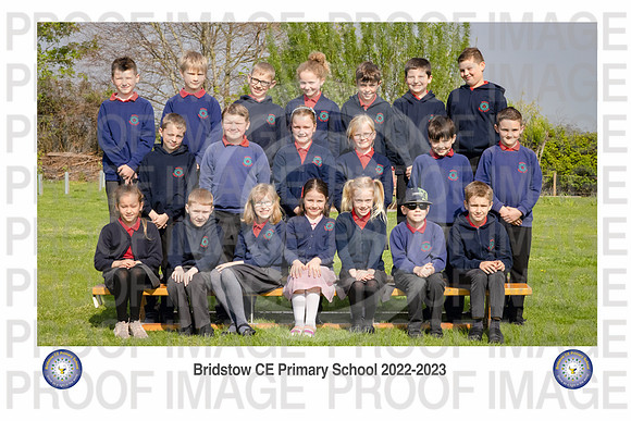 Bridstow_Otter 02