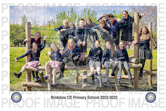 Bridstow_Year6_Image 11