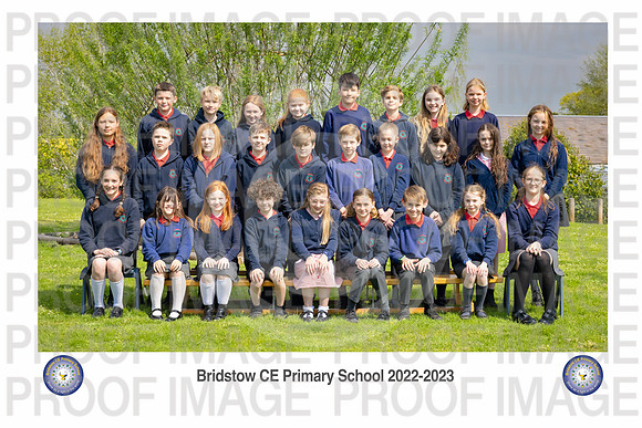 Bridstow_Badger 02