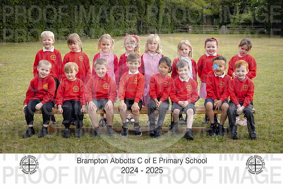 BRAM25-R5