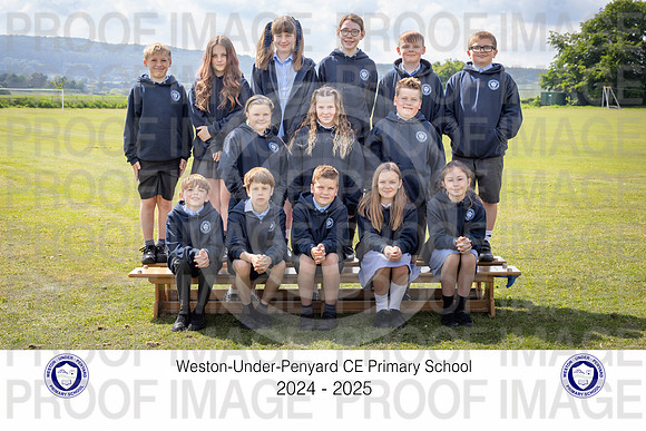 Y6Sor-2