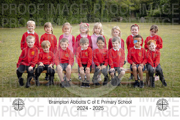 BRAM25-R1