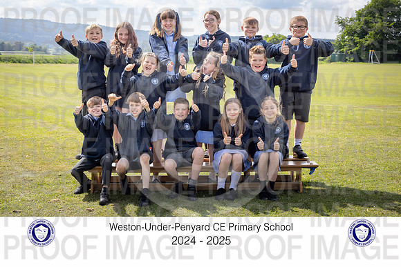 Y6Sor-10