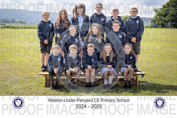 Y6Sor-5