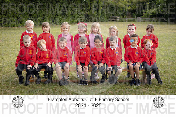 BRAM25-R3