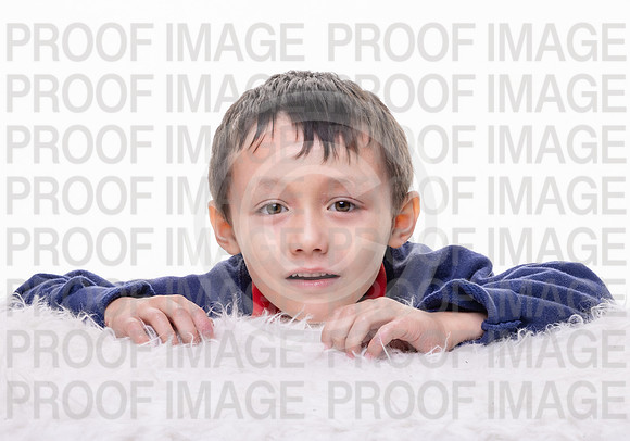 BR_2861