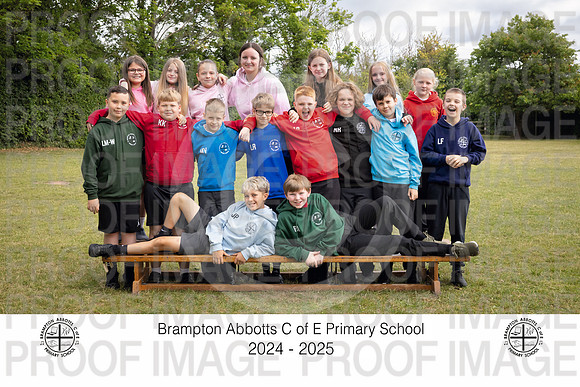 BRAM25-Y6-8