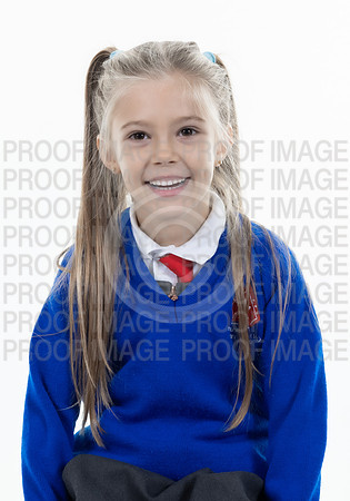 WS-0240