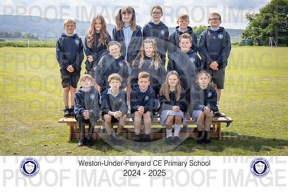 Y6Sor-4