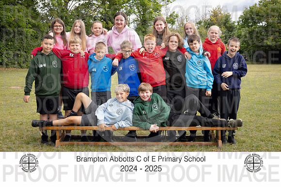 BRAM25-Y6-7