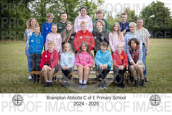 BRAM25-Y6-4