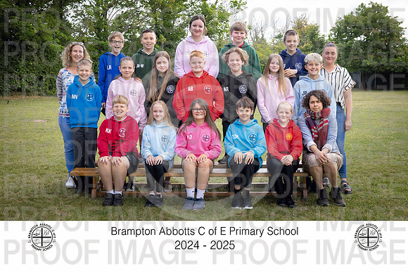 BRAM25-Y6-1