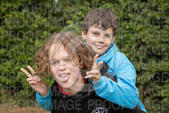 BRAM0741