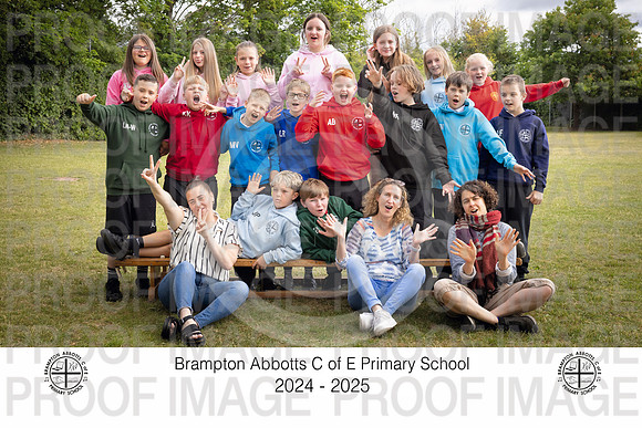 BRAM25-Y6-10