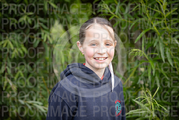 BRID_0798