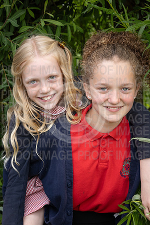 BRID_0581