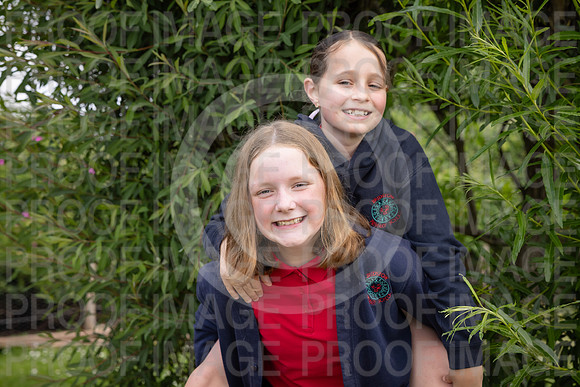 BRID_0610
