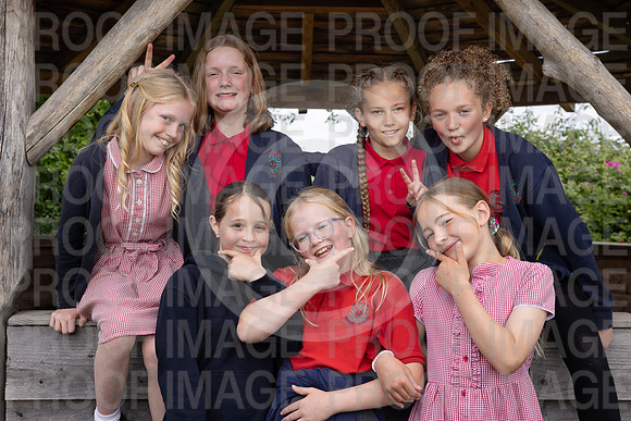 BRID_0545