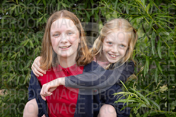 BRID_0649