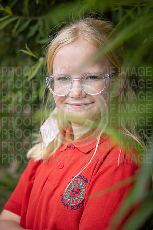BRID_0746