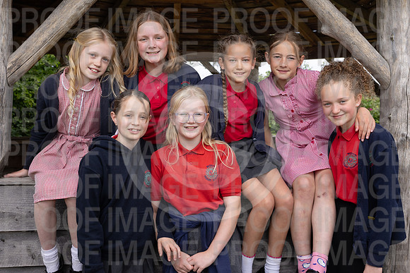 BRID_0529