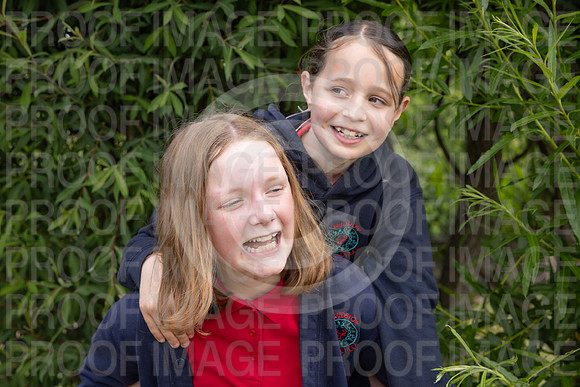 BRID_0603