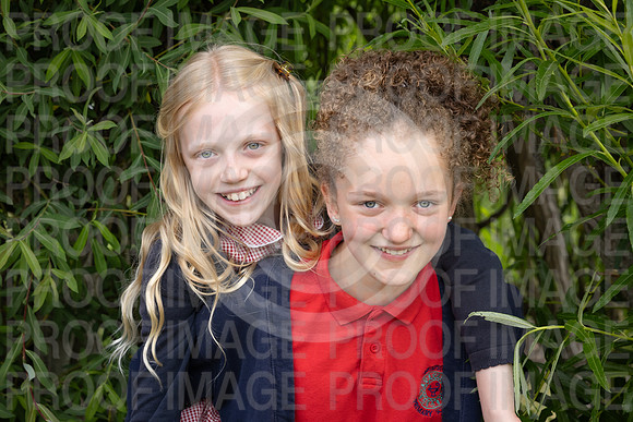 BRID_0580